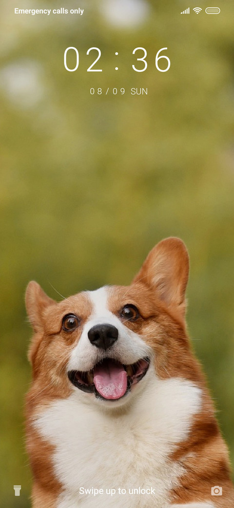 Puppy_3MDS screenshot
