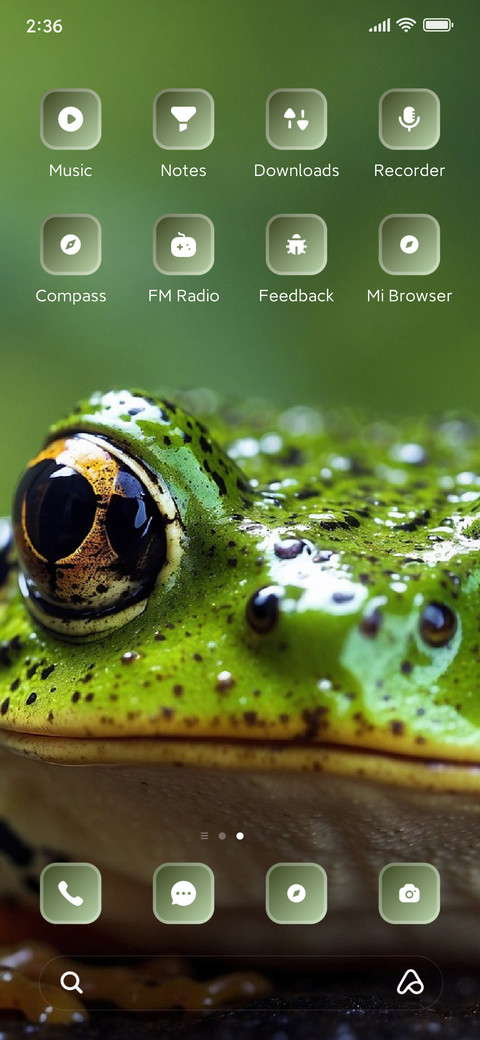 Frog screenshot
