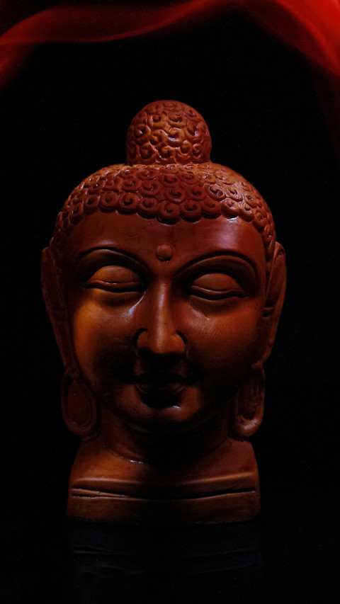 partha screenshot
