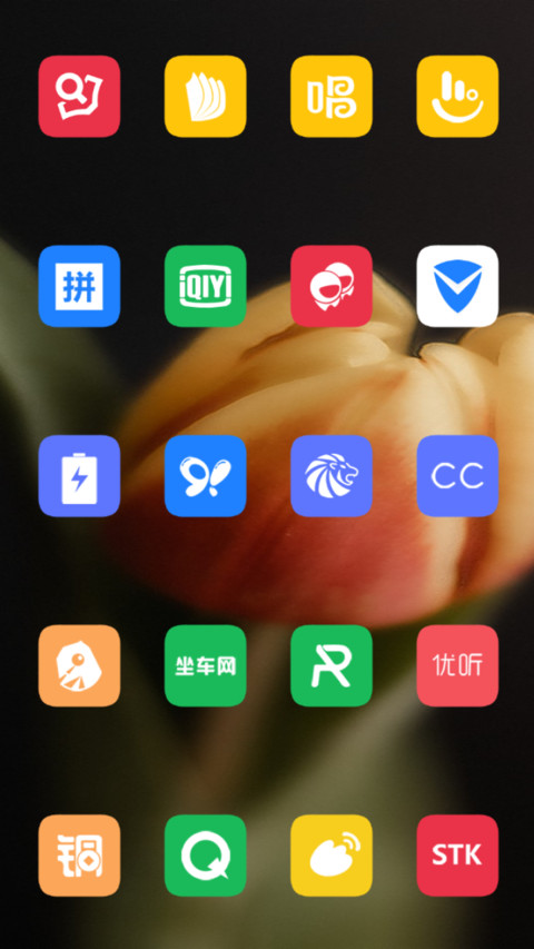 Tulip screenshot