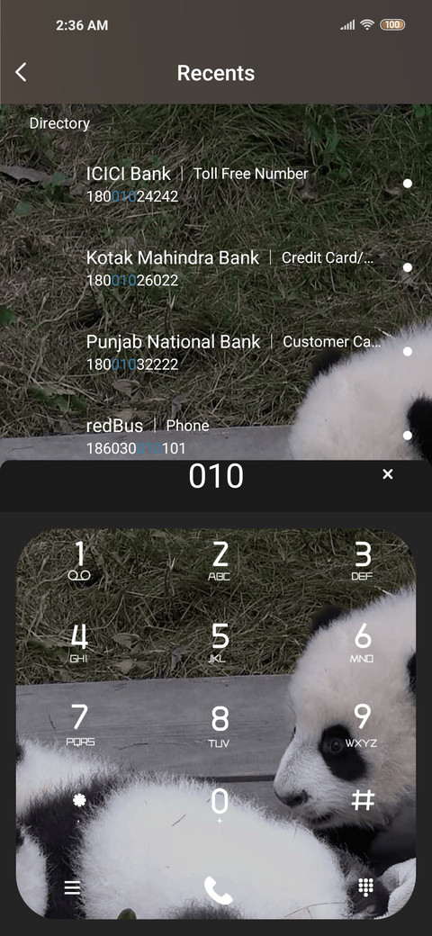 panda screenshot