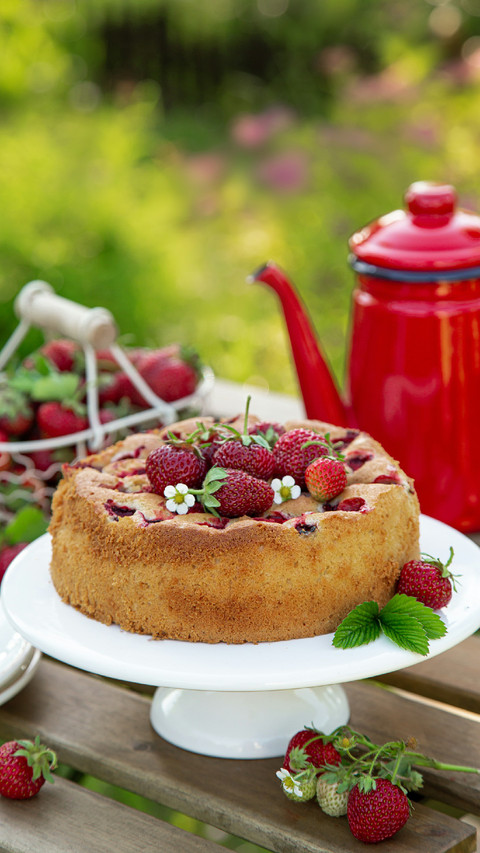 A Plate of Delicious Fruit Cake screenshot