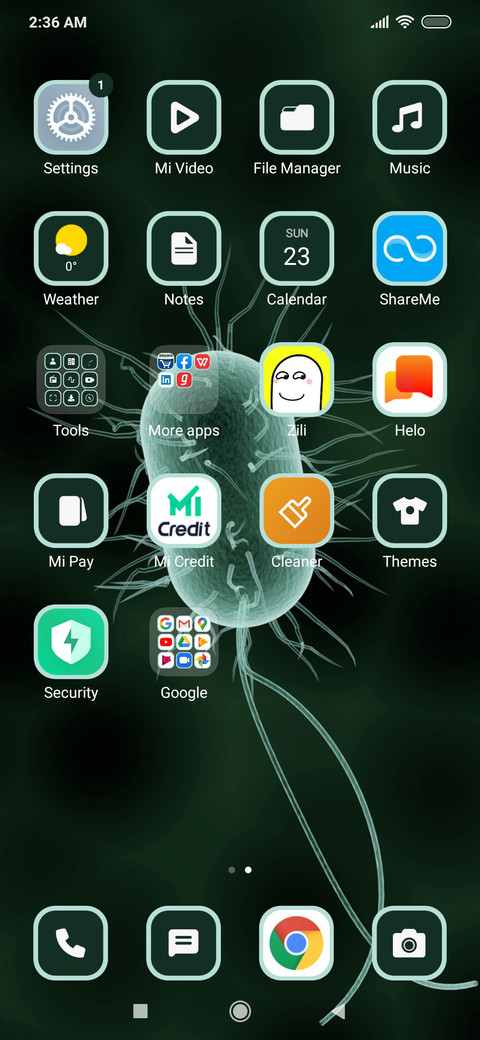 Bacterium_3MDS screenshot