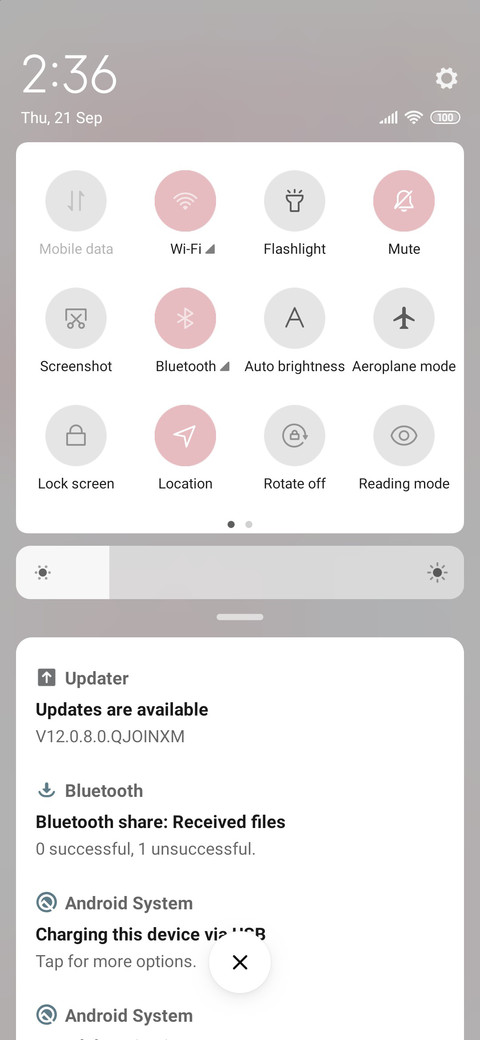 Dynamic pig screenshot