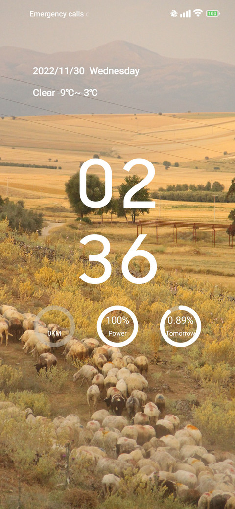lamb screenshot