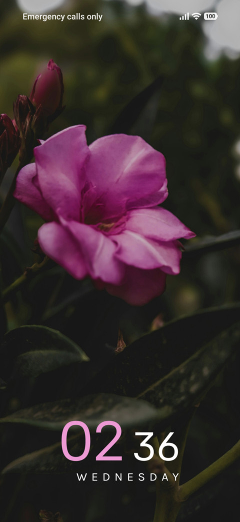 Rosy Glow screenshot