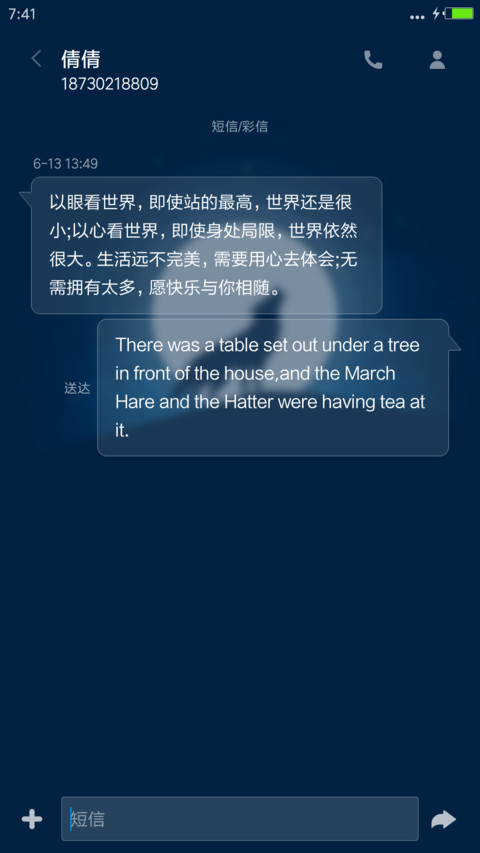 孤狼，自设头像,文字,流星特效】 screenshot