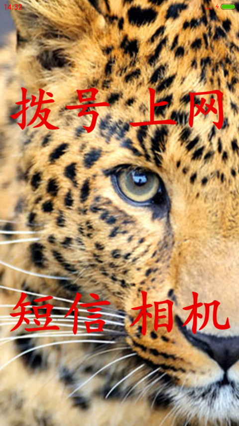 豹口取宝 screenshot