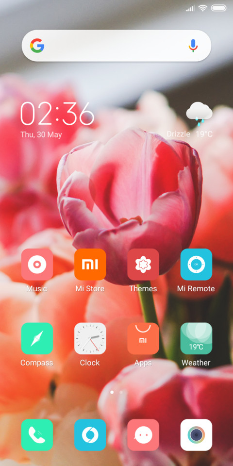 LILY_DWM19 screenshot