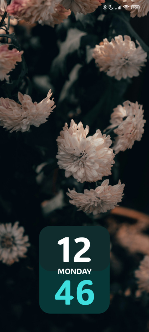 Soft Petals screenshot