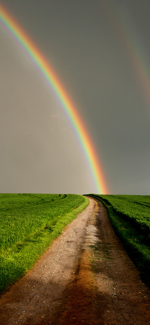 The Rainbow after the rain-PAIXIN screenshot