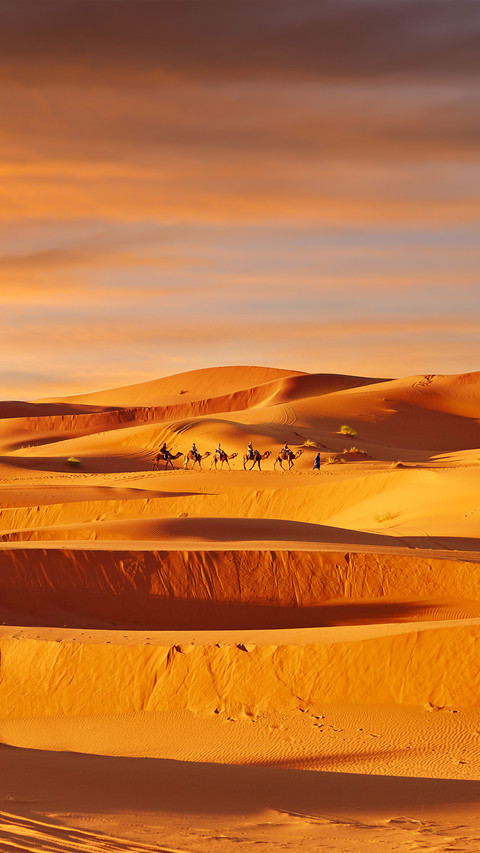 Camel Caravan Going through the Sand Dunes in the deserts screenshot