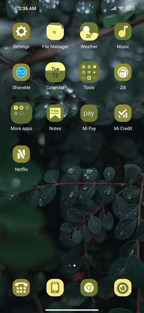 green edge screenshot