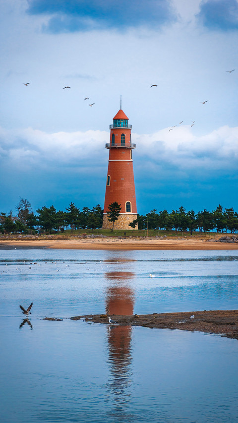 Seagulls by the sea and lighthouse screenshot