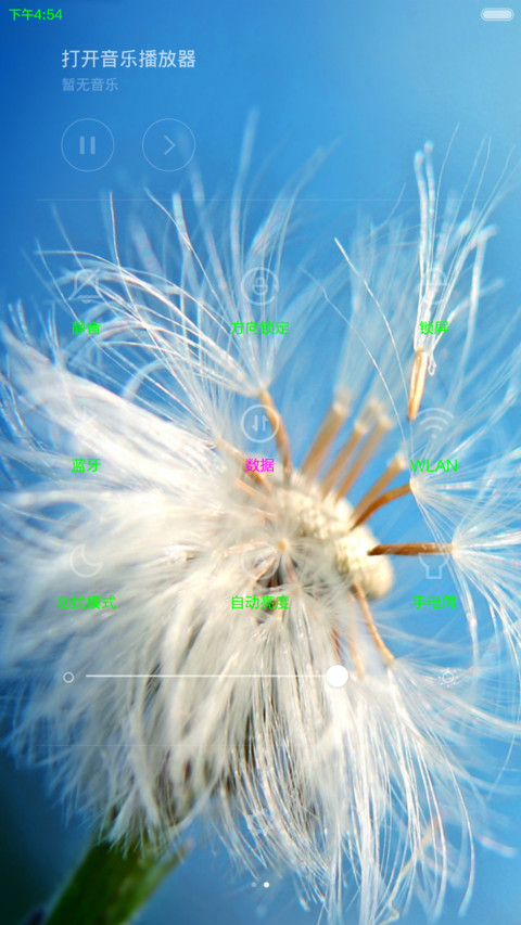 蒲公英的约定 screenshot
