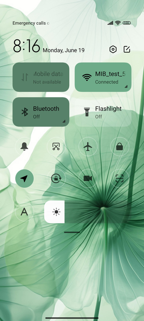 Green Lotus Leaf screenshot