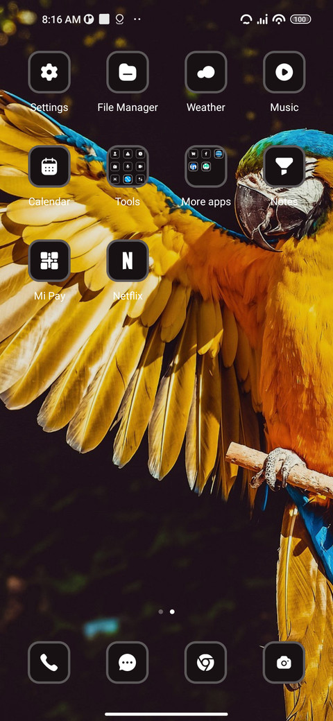 Yellow Macaw screenshot