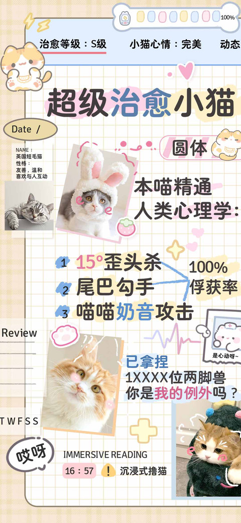 超级治愈小猫圆体 screenshot