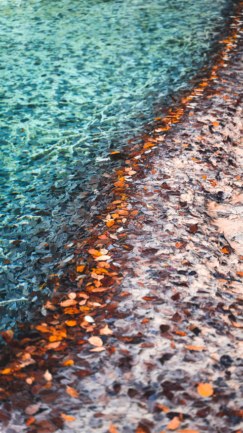 Clear pool water and fallen leaves screenshot