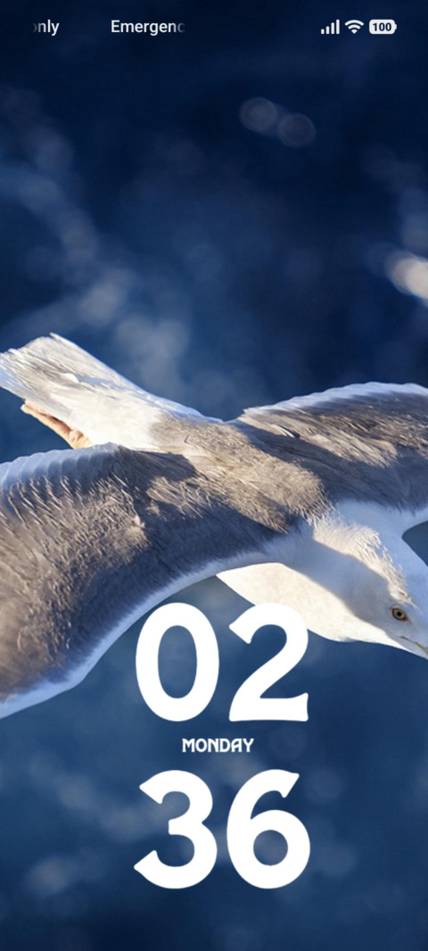 Snow Gull screenshot
