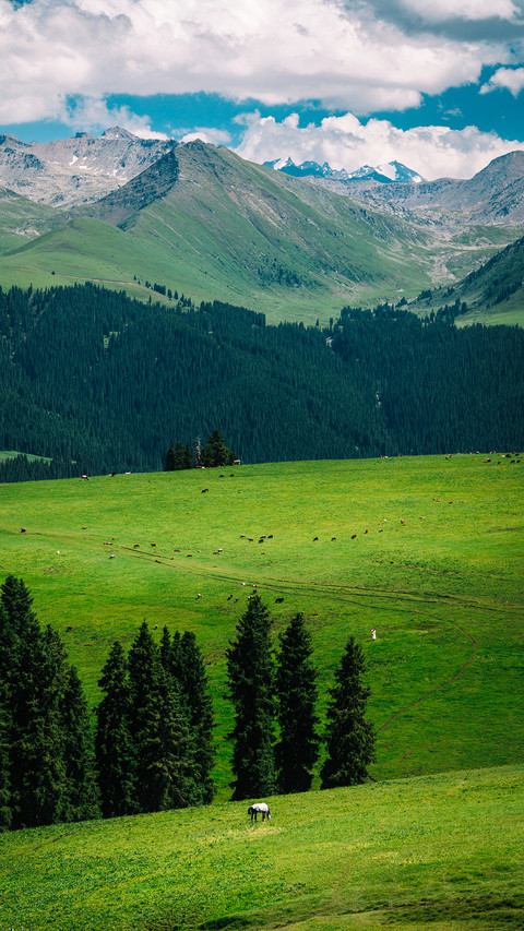 Head to the hidden mountains and wilds of xinjiang 2 screenshot