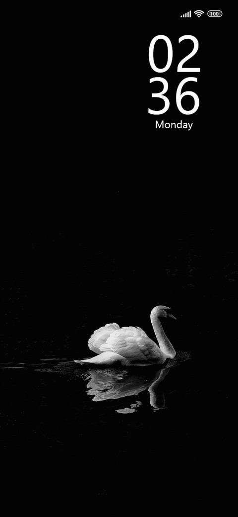 Swan screenshot