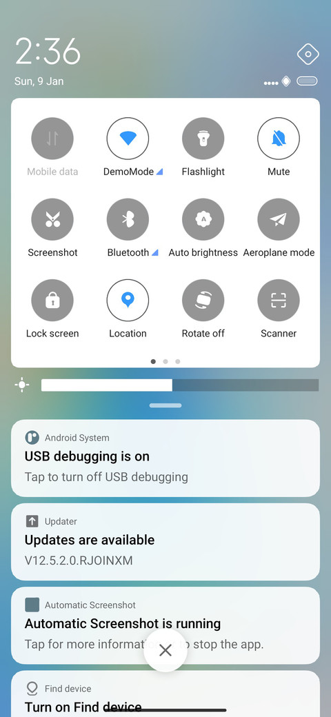 Irregular screenshot