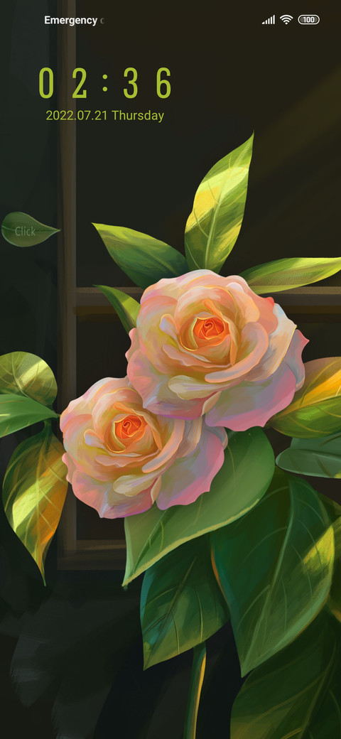 Twin rose screenshot
