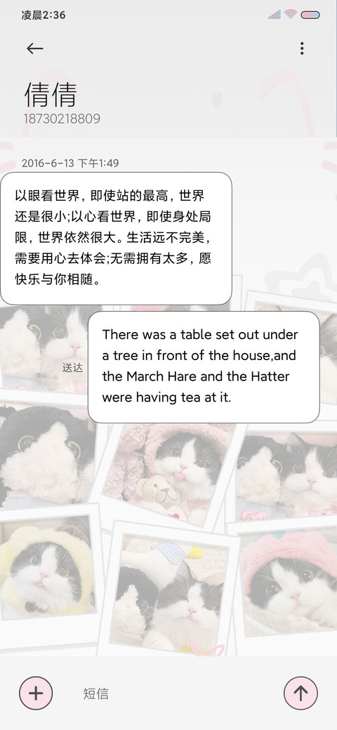 ins猫猫照片墙 screenshot