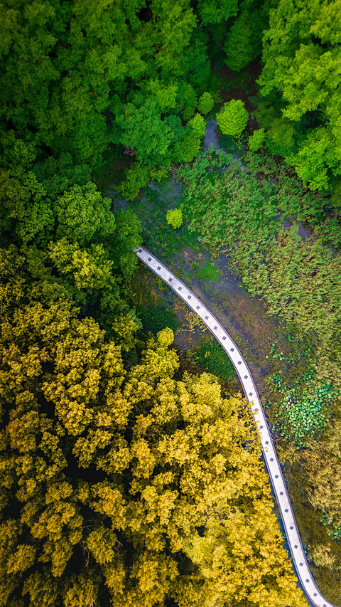 Chunqiu road screenshot