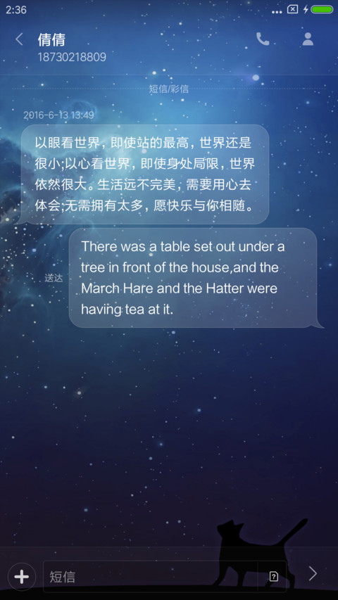 仰望星空的猫 screenshot