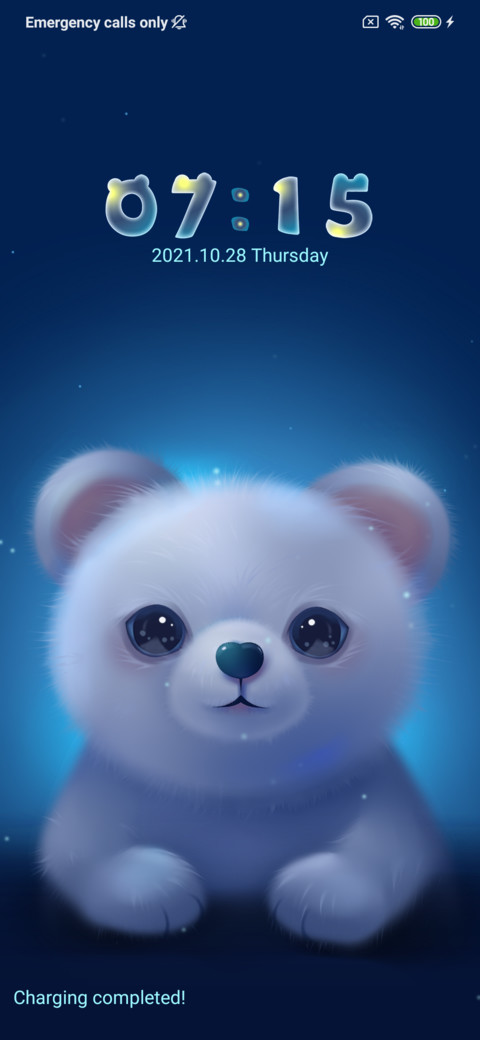  starry sky bear screenshot