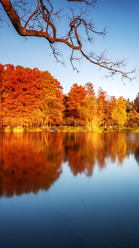Crescent lake in autumn screenshot