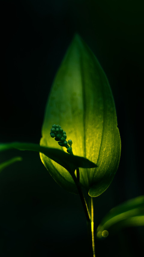 Warm spring sun screenshot