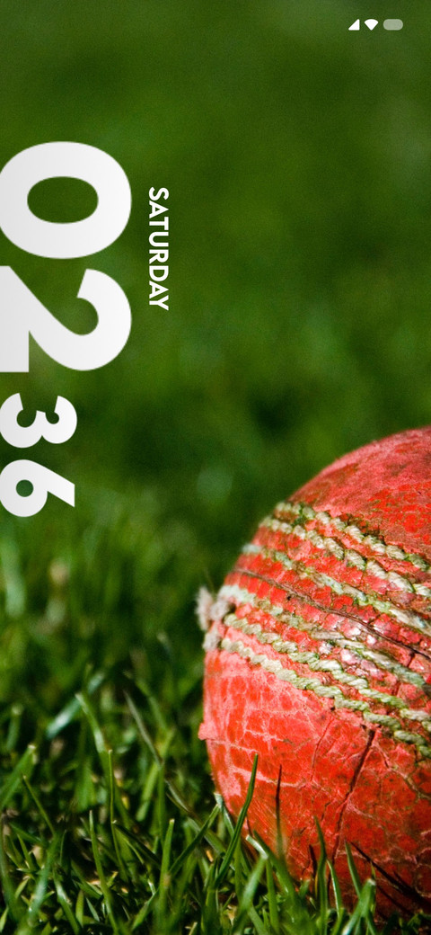 Ground Cricket screenshot