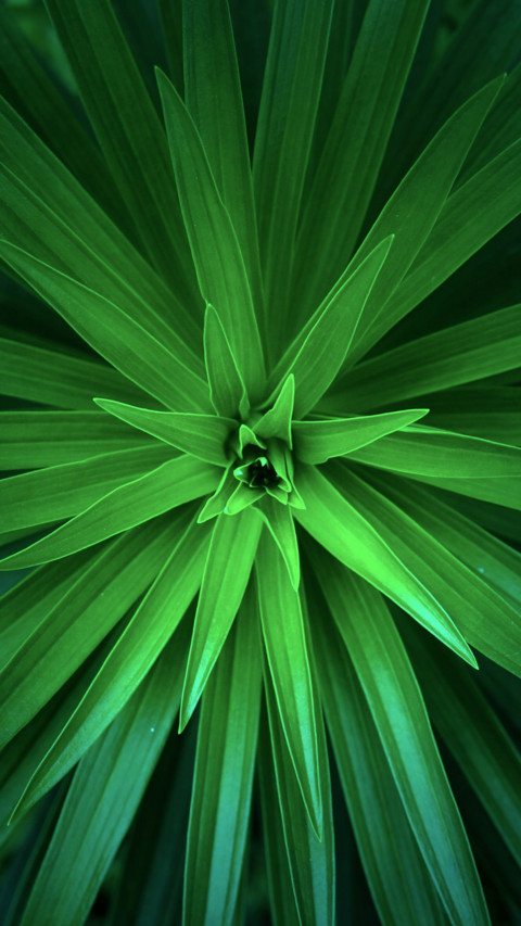Nature (20) screenshot