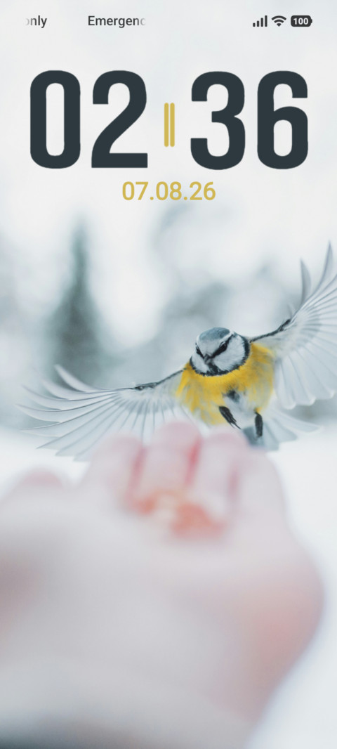 Winter Bird screenshot