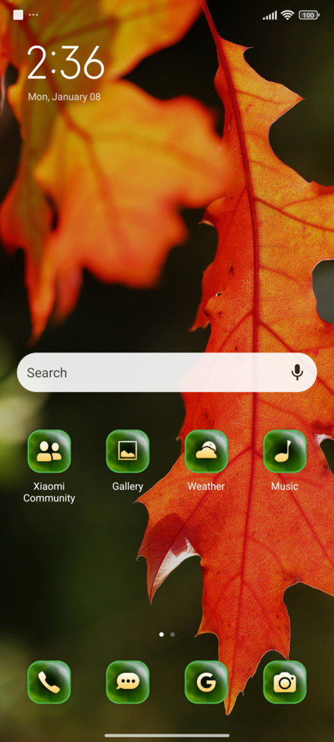 leaves oak screenshot