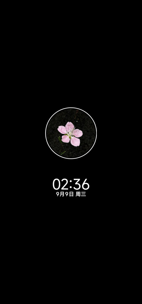 晚序秋意碎片 screenshot