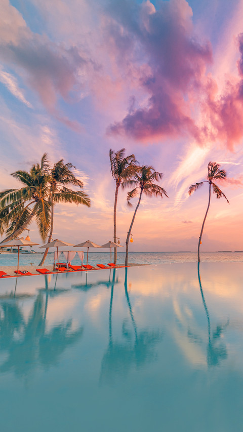 Beautiful poolside and sunset sky with palm trees screenshot