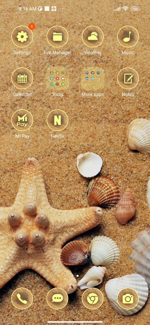 beach starfish screenshot