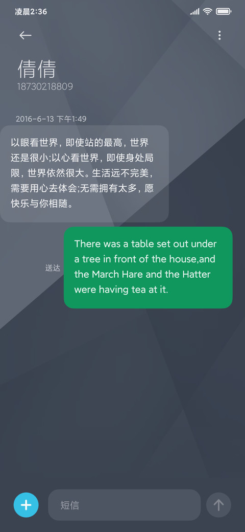 双模式 灰白简约 screenshot