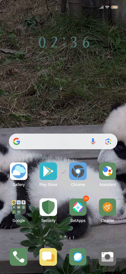 panda screenshot