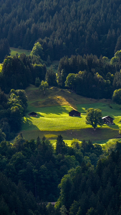 Dreamy alpine slope view screenshot