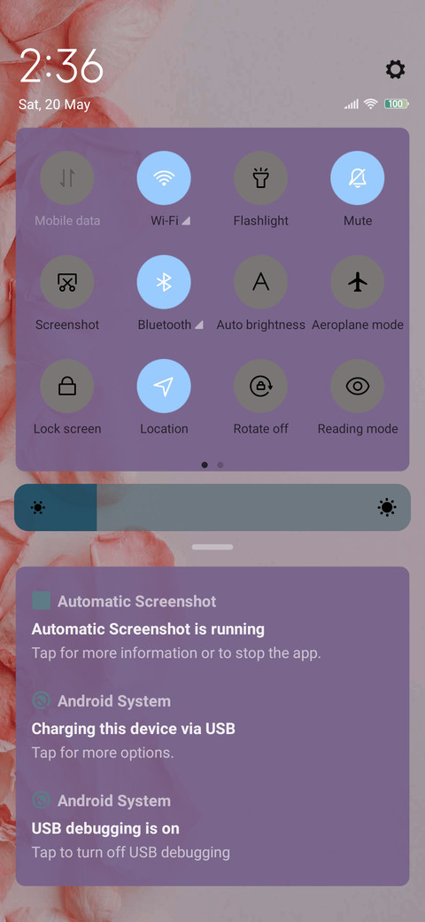 Literary flower screenshot