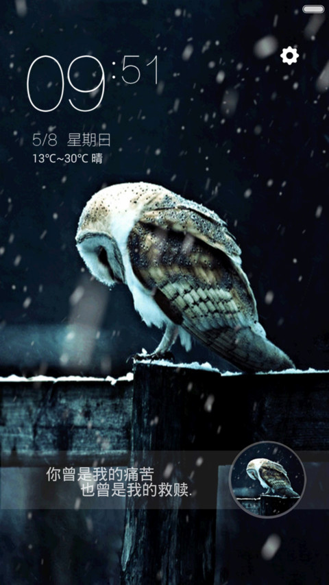 猫头鹰【自定义头像,文字,下雨特效】 screenshot