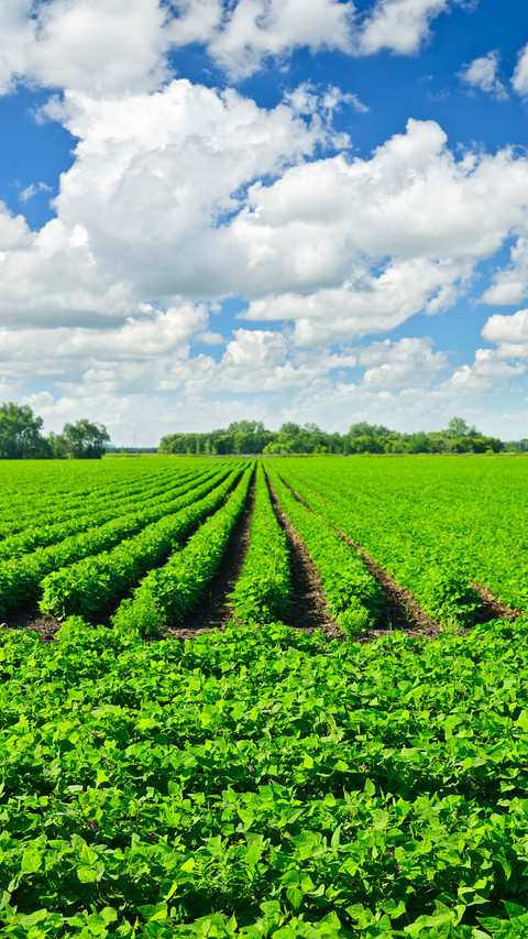 Farmland fields screenshot