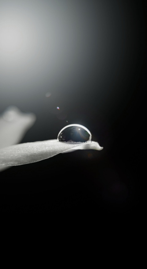 Top 100 (11) screenshot