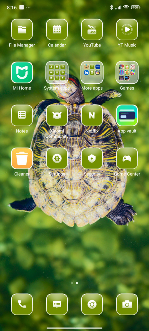 Brown Turtle screenshot