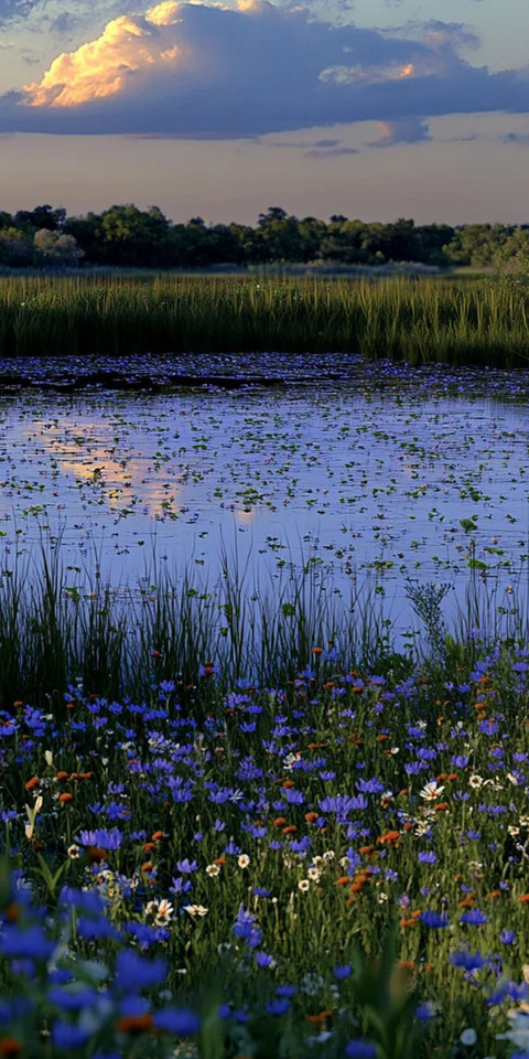 Blue Landscape1.jpg screenshot